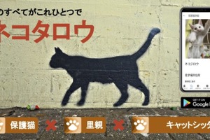 保護猫×里親×キャットシッターを繋ぐ総合マッチング・プラットフォーム「ネコタロウ」が全国リリース…セプトボット 画像
