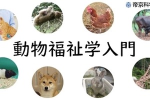 ネットラーニング、帝京科学大学の「動物福祉学入門」をオンラインで無料開講…21年1月27日開講 画像