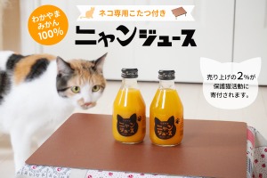 和歌山みかん100％を使用した「ニャンジュース」の予約開始…売上の2％を保護猫活動の支援金へ 画像