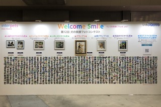 第12回 犬の笑顔フォトコンテスト 動物のリアルを伝えるwebメディア Reanimal 第12回 犬の笑顔フォトコンテスト 動物のリアルを伝えるwebメディア Reanimal