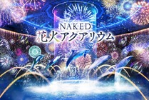マクセル アクアパーク品川、海の世界の花火大会「NAKED 花火アクアリウム」を開催…8月7日~10月24日