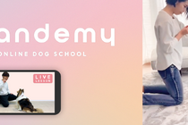 オーダーメイドカリキュラムのオンラインドッグスクール「ワンデミー」開校 画像