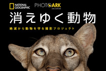 ナショナル ジオグラフィック、写真集「PHOTO ARK 消えゆく動物 絶滅から動物を守る撮影プロジェクト」を刊行