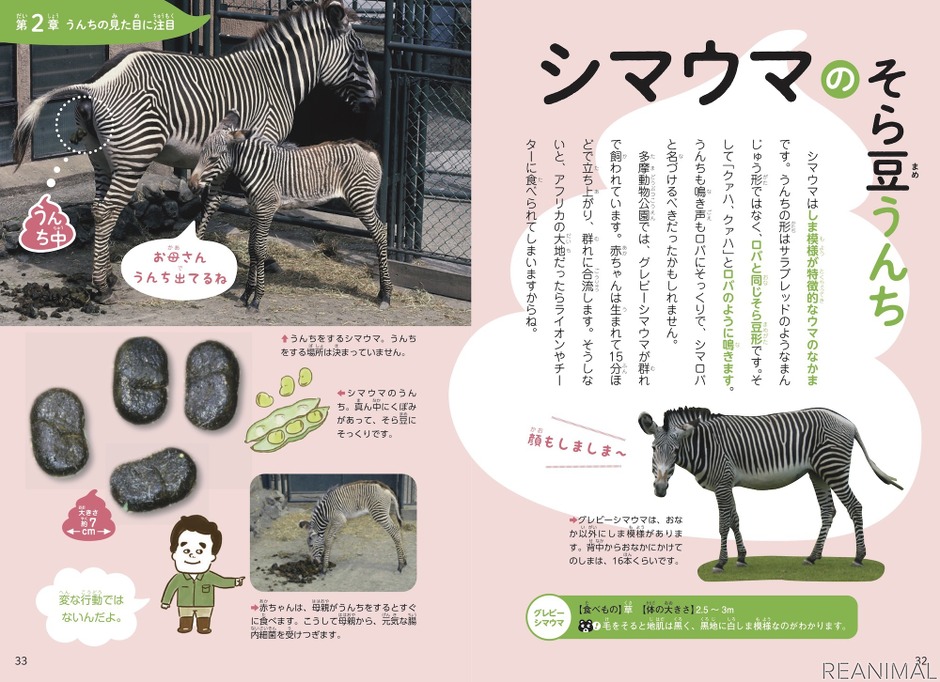 『うんちくいっぱい 動物のうんち図鑑』、小学館より刊行 2枚目の写真・画像