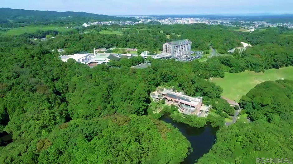 つま恋リゾート彩の郷、「ドッグコミュニティ 桜まつり」を開催…4月7日まで 5枚目の写真・画像 動物のリアルを伝えるWebメディア「REANIMAL」