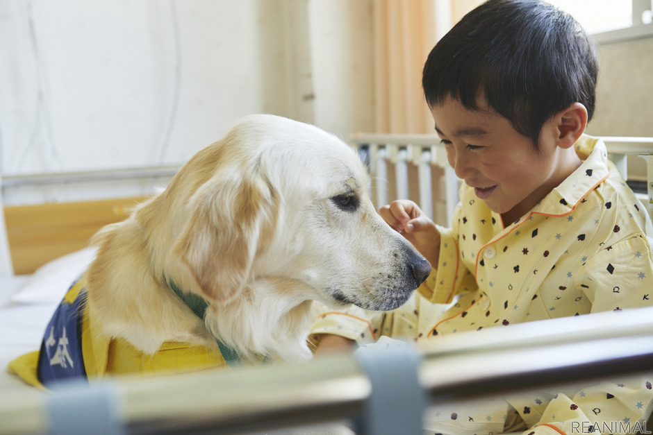 犬との触れ合いを人の病気治療に生かす…動物介在療法とは vol.1 [インタビュー] 1枚目の写真・画像 動物のリアルを伝えるWeb