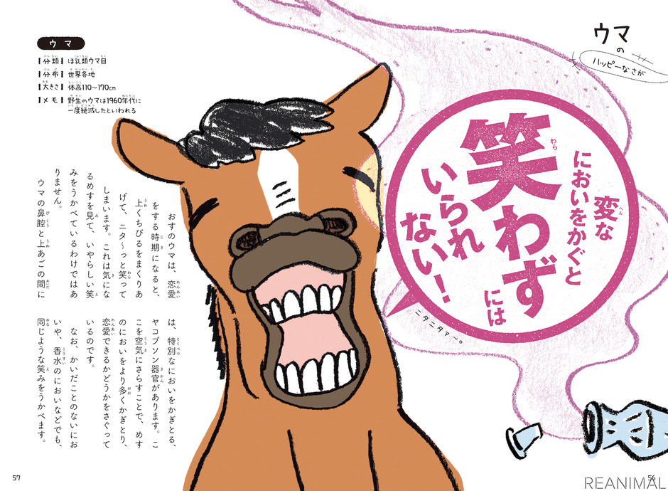 動物たちの奇妙な行動を集めた「これをせずにはいられない！動物たちの悲しき習性図鑑」刊行…学研 2枚目の写真・画像 動物のリアルを伝えるWebメディア「REANIMAL」