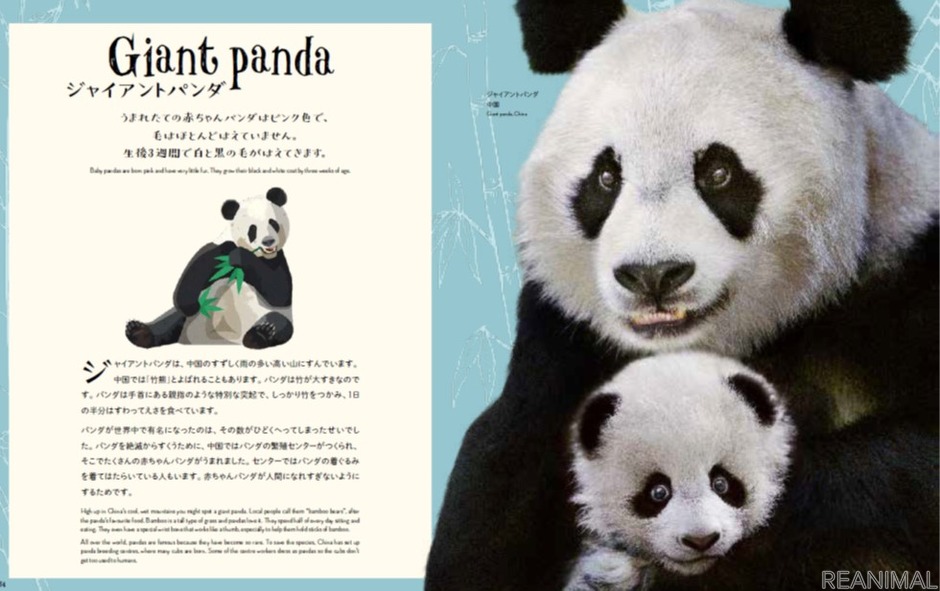 「うつくしすぎる世界の動物」「うつくしすぎる自然博物」日本語版2冊を同時刊行…主婦の友社 2枚目の写真・画像 | 動物のリアルを伝えるWebメディア「REANIMAL」
