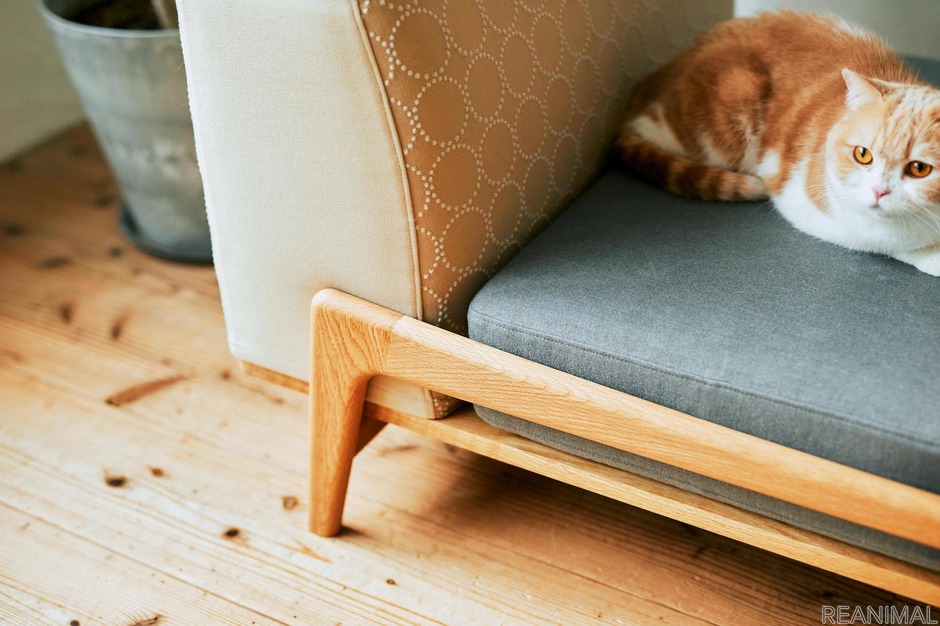 RINN監修の猫との暮らしに配慮したソファ「Luu sofa Cat Life model」、グリニッチより発売 23枚目の写真・画像