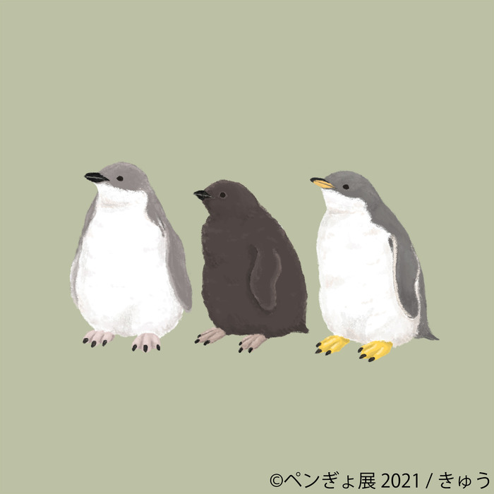 ペンギンと金魚の合同写真展 イラスト物販展 ペンぎょ展 21 東京と名古屋で開催 5枚目の写真 画像 動物のリアル を伝えるwebメディア Reanimal