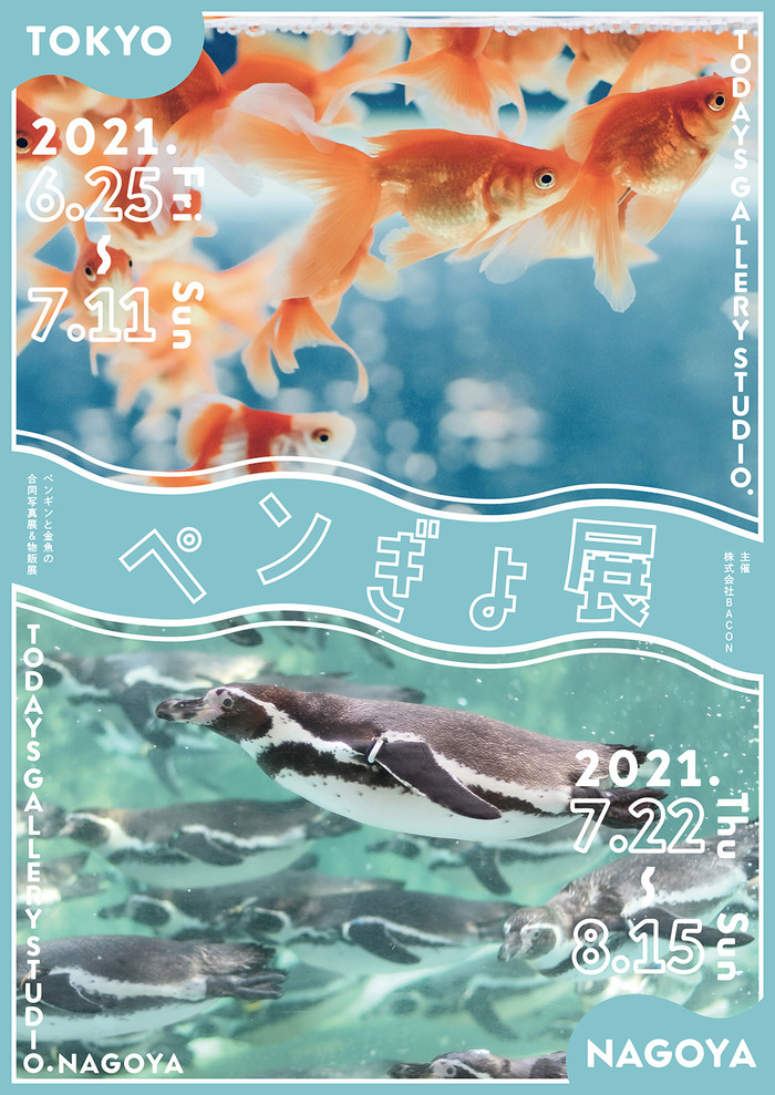 ペンギンと金魚の合同写真展 イラスト物販展 ペンぎょ展 21 東京と名古屋で開催 枚目の写真 画像 動物のリアル を伝えるwebメディア Reanimal