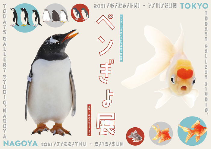 ペンギンと金魚の合同写真展 イラスト物販展 ペンぎょ展 21 東京と名古屋で開催 1枚目の写真 画像 動物のリアル を伝えるwebメディア Reanimal