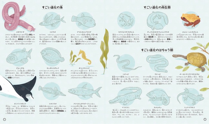 Nhk出版 進化の謎や秘密がわかる科学絵本 すごいぞ 進化 はじめて学ぶ生命の旅 を刊行 4枚目の写真 画像 動物のリアルを伝えるwebメディア Reanimal