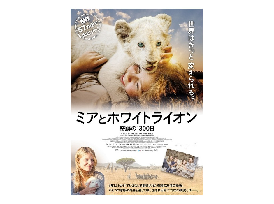 『ミアとホワイトライオン　奇跡の1300日』(C) 2018 Galatee Films - Outside Films - Film Afrika D - Pandora Film - Studiocanal - M6 Films