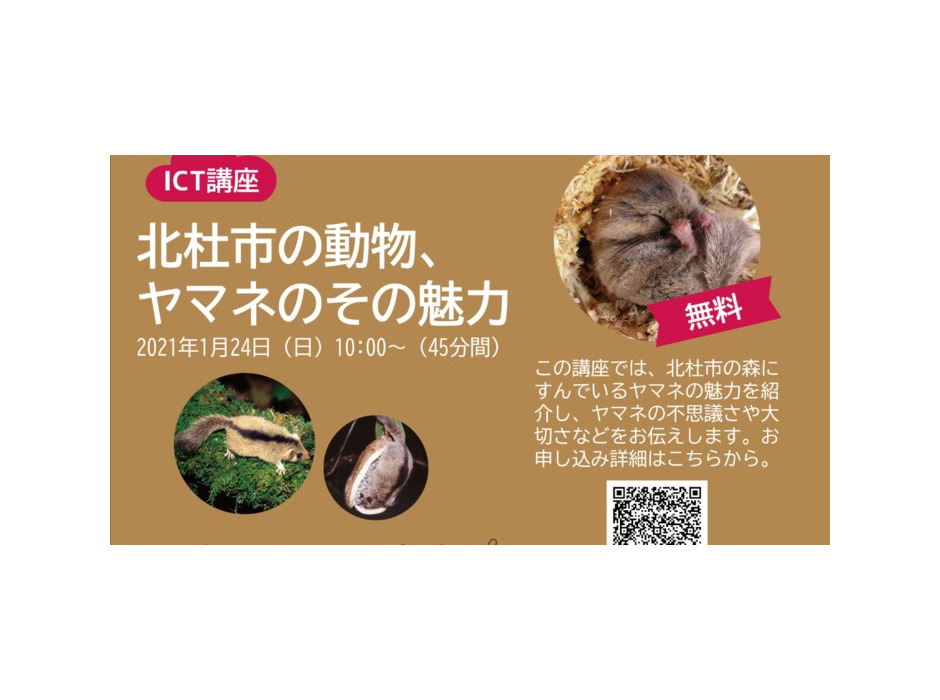 ヤマネ・いきもの研究所、無料オンライン講座「北杜市の動物、ヤマネのその魅力」を開催