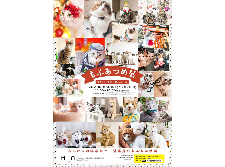 猫と動物の作品800点以上を集めた「もふあつめ展」、大阪にて開催