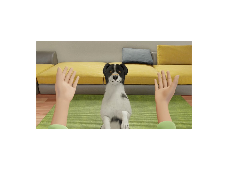 ワンちゃんを子犬から育てる『Dog Trainer』発表！ 犬を飼うことの喜びと責任を体験