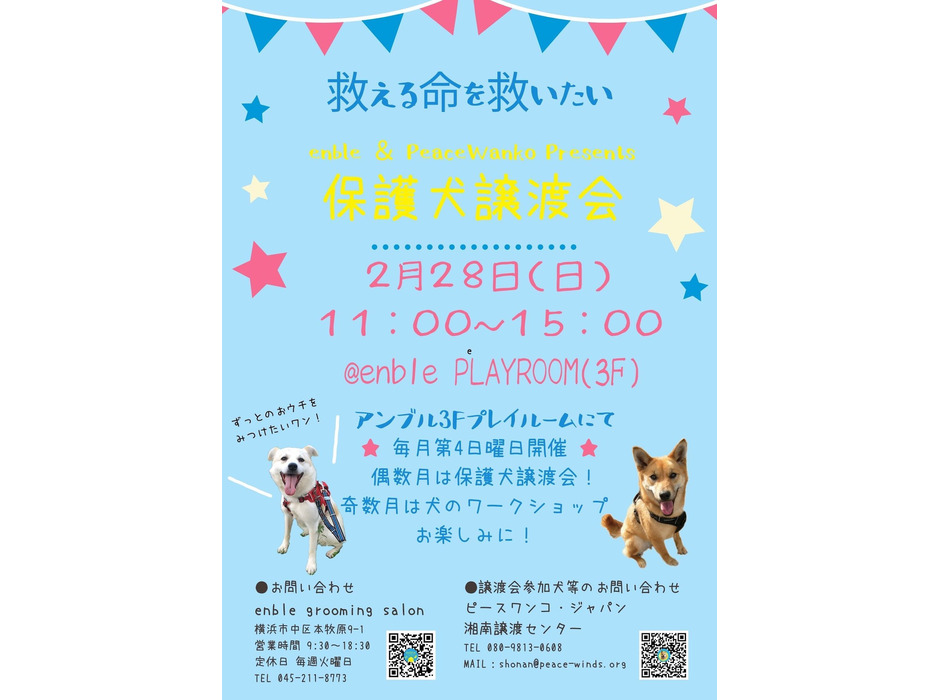 ピースワンコ・ジャパン、ドッググルーミングサロン「enble」と連携し定期譲渡会イベントを開催