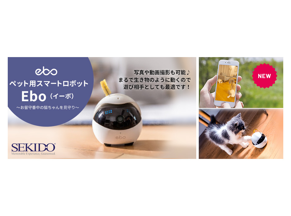 ペット用スマートロボット「Ebo」発売