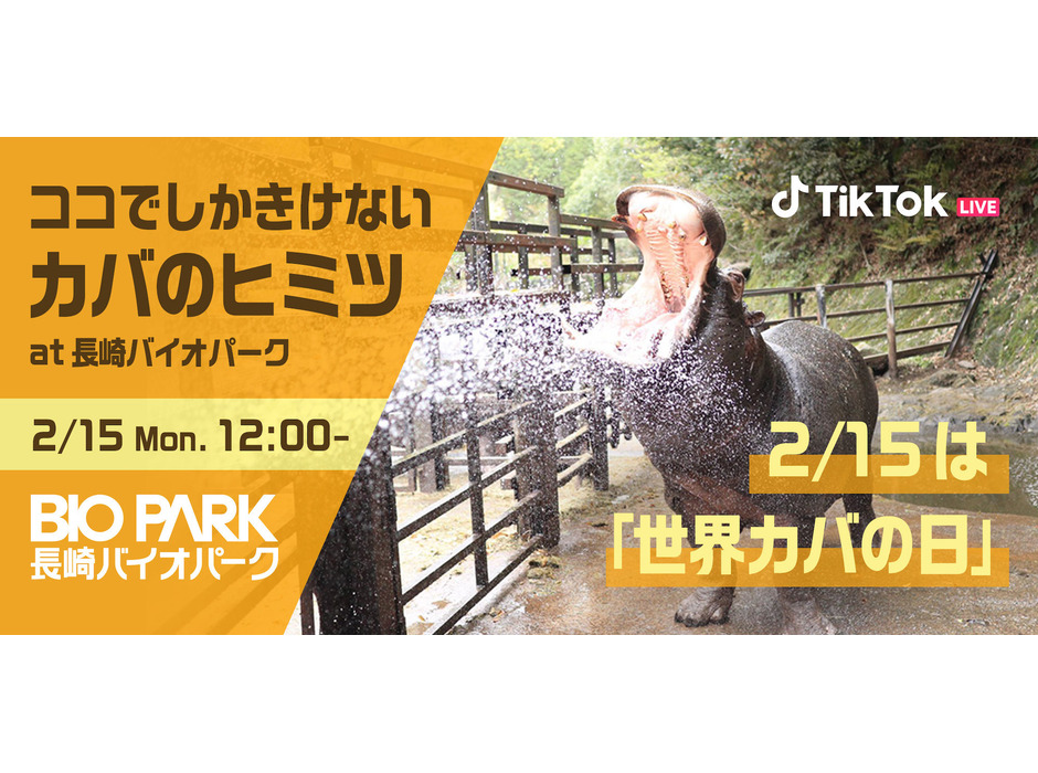長崎バイオパーク、「ココでしかきけないカバのヒミツ」をTikTok LIVEで生配信