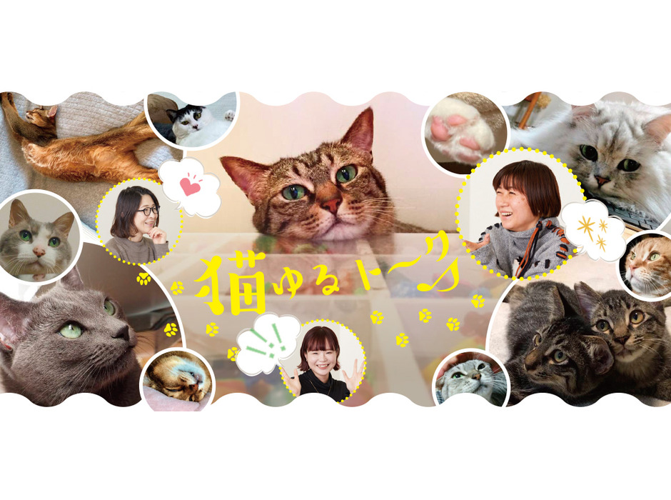三越伊勢丹オンラインサイトにて「222猫の日～猫がかわいすぎて～」開催