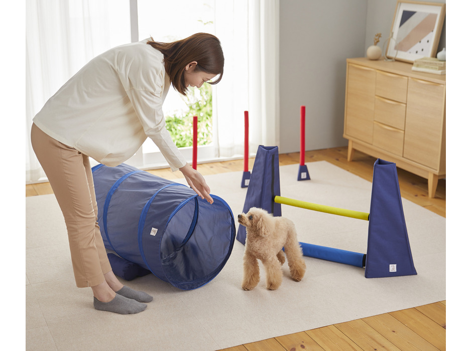 部屋の中で運動しながら愛犬と遊べる遊具「Sippoleアジリティ」、PEPPY（ペピイ）から発売