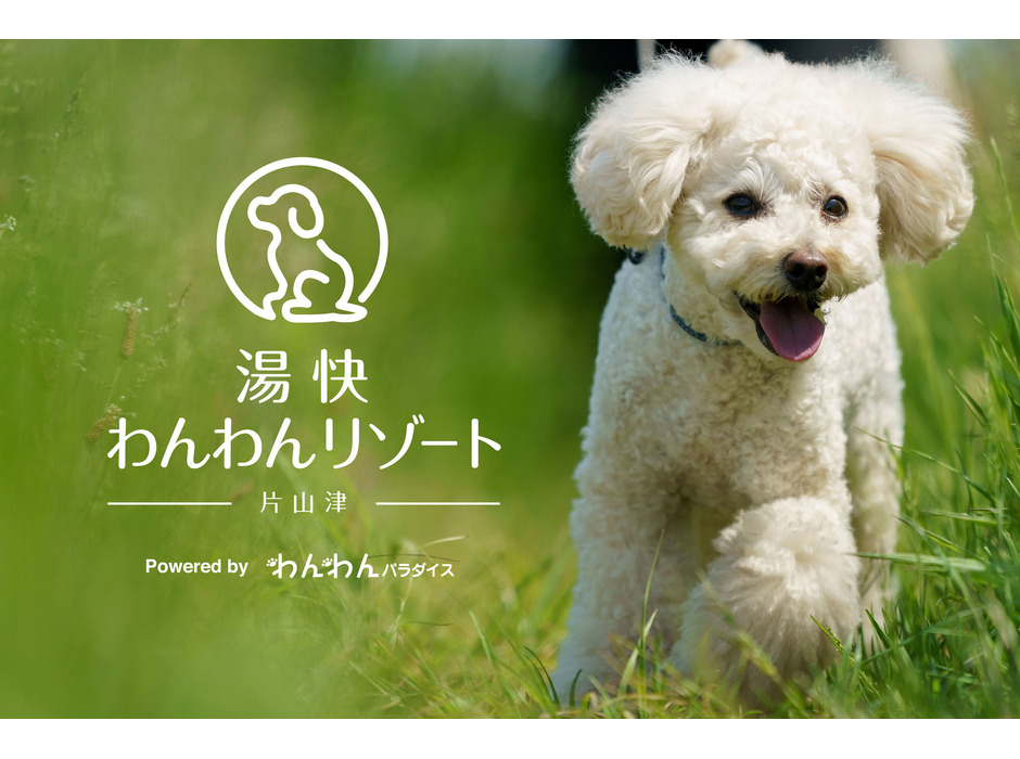 犬専用温泉旅館「湯快わんわんリゾート片山津」オープン