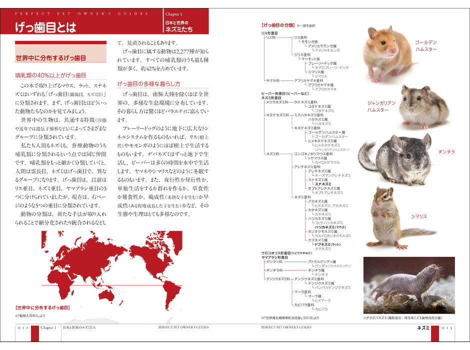 『ネズミ完全飼育 マウス、ラット、スナネズミ』、誠文堂新光社より刊行