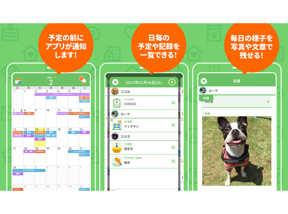 アマネファクトリー、飼い主とペットの暮らしをサポートするアプリ「うちっ子ログ」をリリース