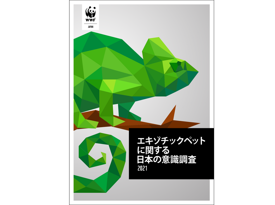 WWF、エキゾチックペットに関するアンケート調査を実施