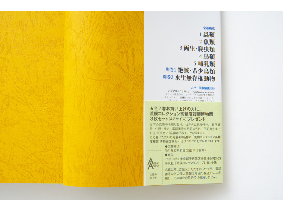 荒俣宏氏による大著『世界大博物図鑑』シリーズ、平凡社よりソフトカバー版で復刊