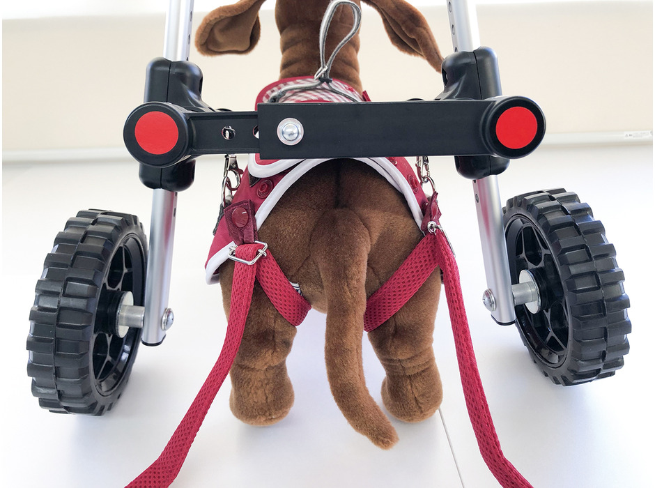 犬用補助車「ドギーサポーター」、サンプル無料レンタルサービス開始