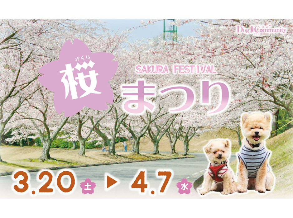 つま恋リゾート彩の郷、「ドッグコミュニティ 桜まつり」を開催