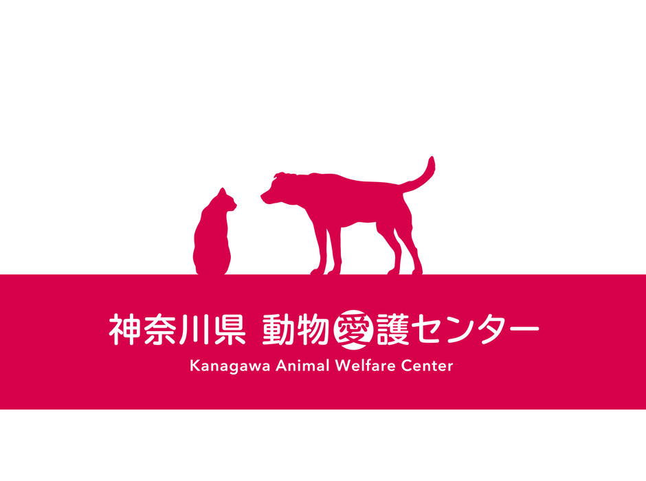 神奈川県動物愛護センター、ウェブサイトをリニューアル