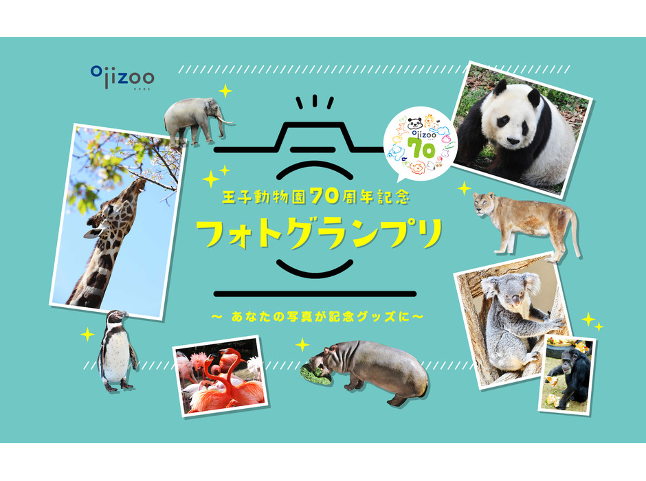 神戸新聞社、「王子動物園70周年記念フォトグランプリ」を開催