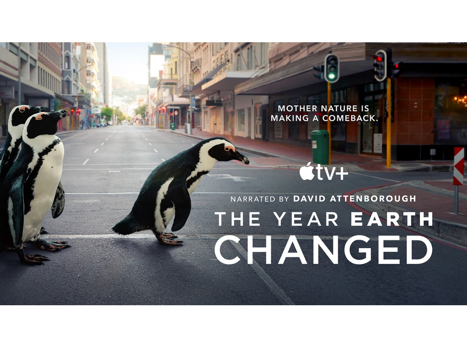 Apple TV+にて野生生物のドキュメンタリースペシャル「その年、地球が変わった」公開