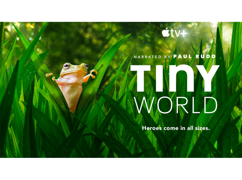 Apple TV+にて野生生物のドキュメンタリースペシャル「その年、地球が変わった」公開