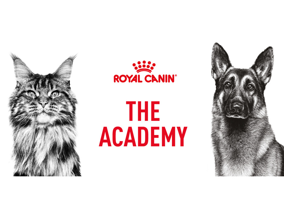 ロイヤルカナン ジャポン、獣医療関係者向けEラーニングサイト「ROYAL CANIN ACADEMY」を開講