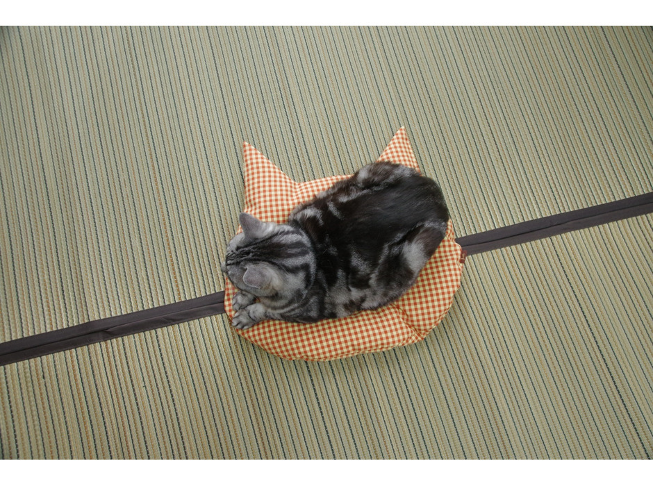 Jumou 日本羽毛製造、羽毛のねこ座布団を発売