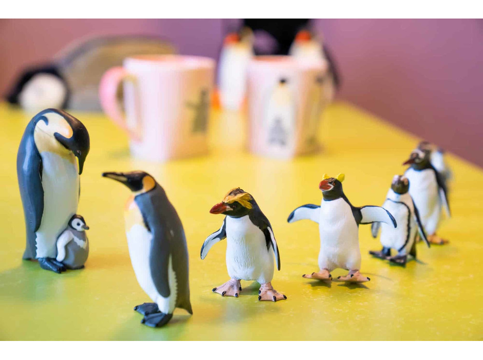 星野リゾート OMO7旭川、ペンギンをテーマにした新客室「ペンギンルーム」の予約開始
