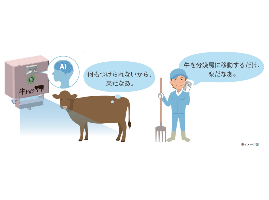 画像認識AIによる牛の分娩検知システム「牛わか」