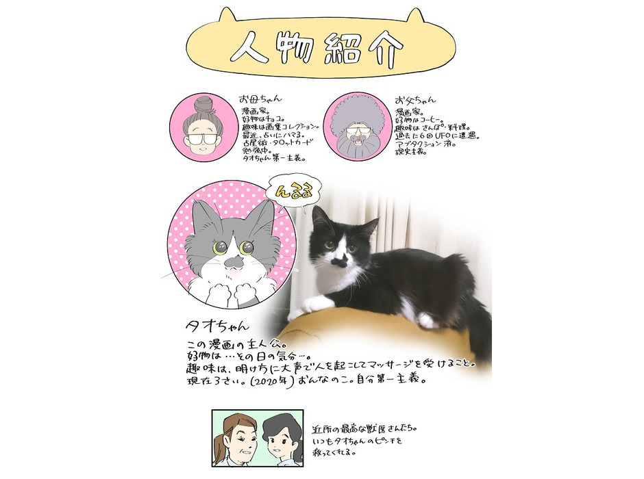 『漫画家、ねこと暮らす ～猫も杓子もタオ日記～』、ICEよりリリース