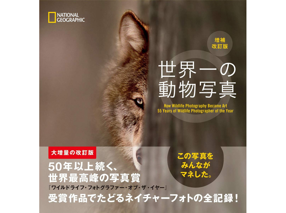 写真集『世界一の動物写真 増補改訂版』、日経ナショナル ジオグラフィック社より刊行