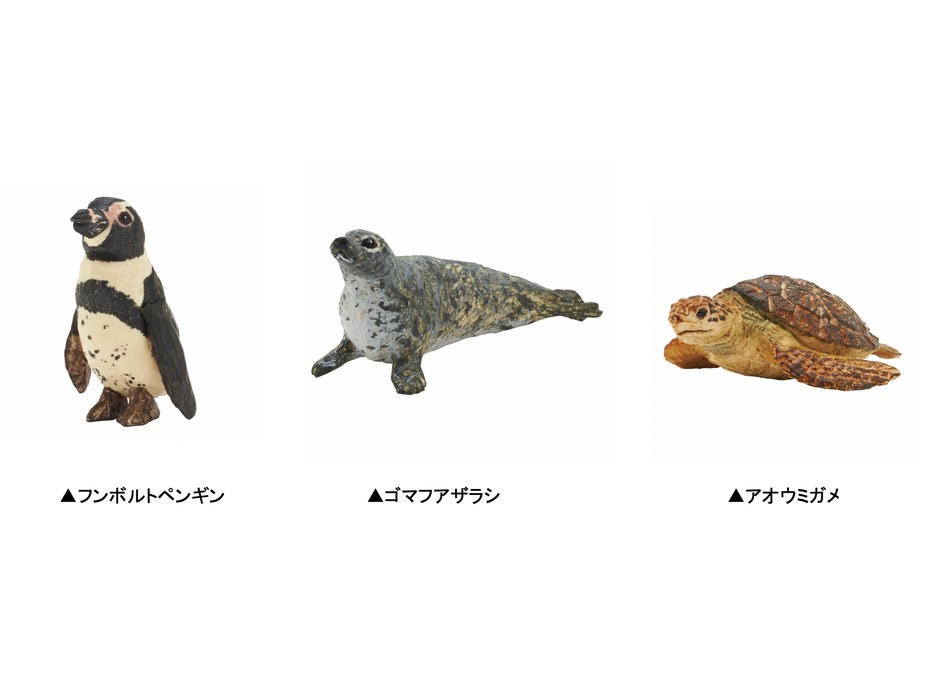 彫刻家はしもとみお×新江ノ島水族館のコラボフィギュア、新江ノ島水族館にて限定販売