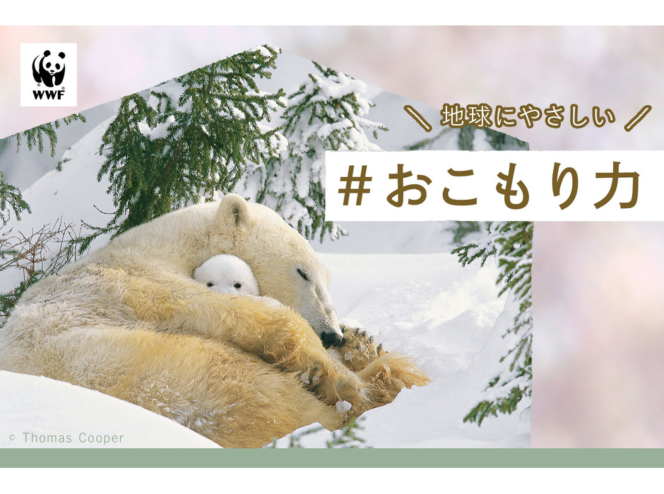 WWFジャパン、“おこもり”上手な動物を参考に自宅での過ごし方を提案…新型コロナ対策