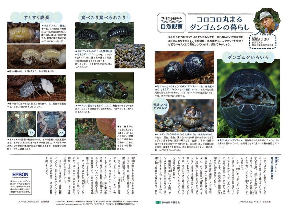 日本自然保護協会 自然観察ツール公開