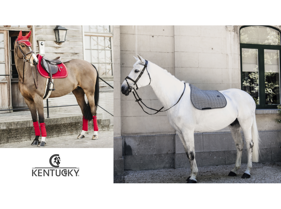 ベルギー馬具メーカー「Kentucky Horsewear」