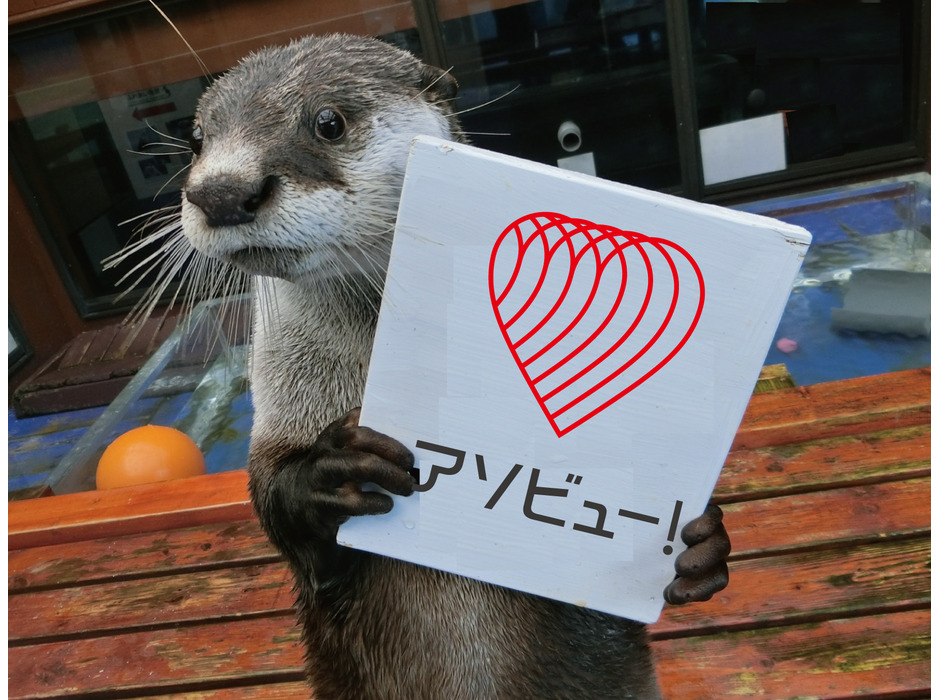 伊勢シーパラダイス、「World Otter Day（世界カワウソの日）」特設サイトを開設