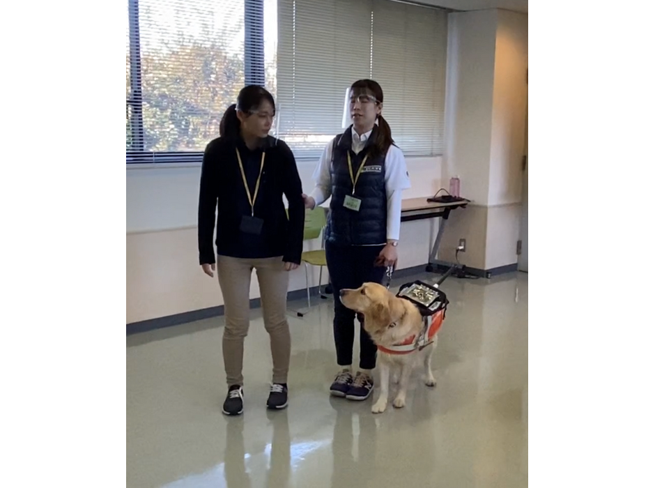 日本盲導犬協会、2020年度盲導犬ユーザー受け入れ拒否の実態を報告