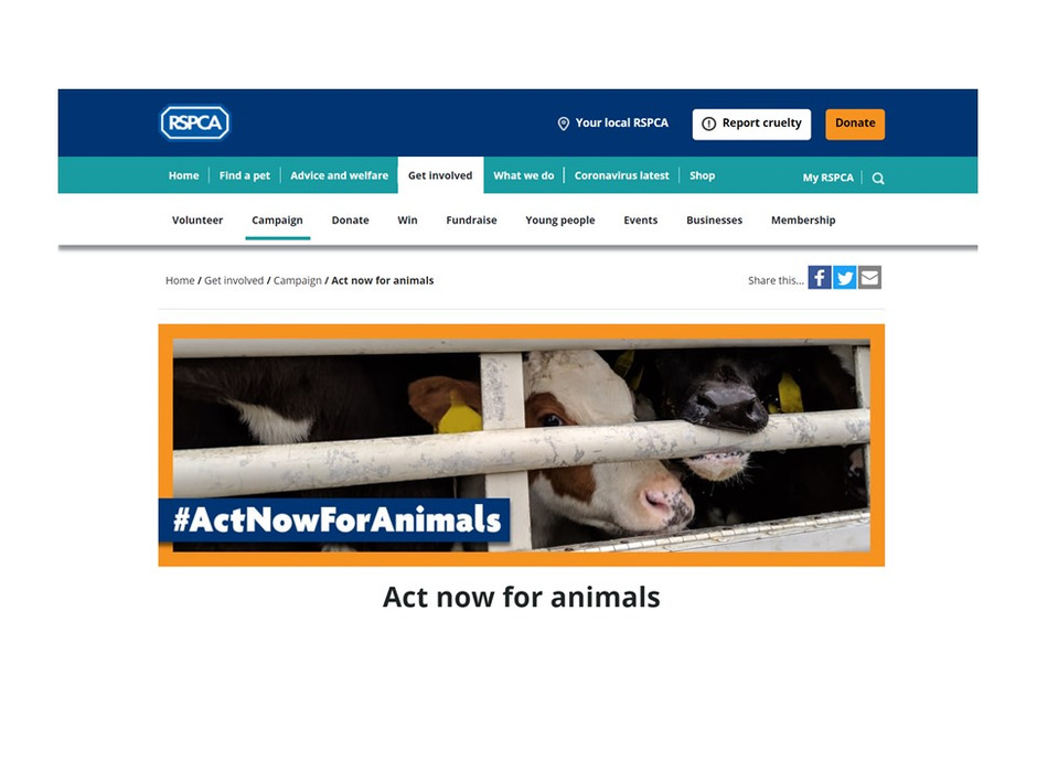 「王立動物虐待防止協会（RSPCA）」が、動物の保護と福祉の向上に向けた提言を行った